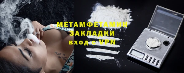 стафф Касимов