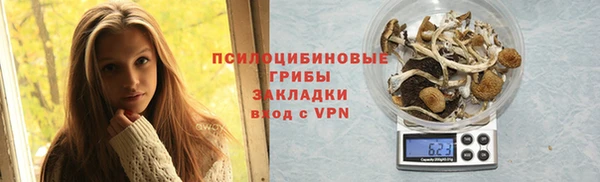 соль ск Карпинск