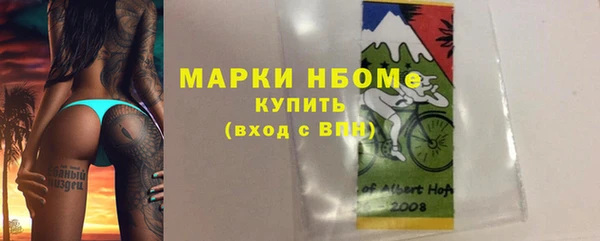 стафф Касимов