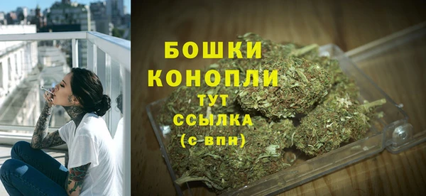 стафф Касимов