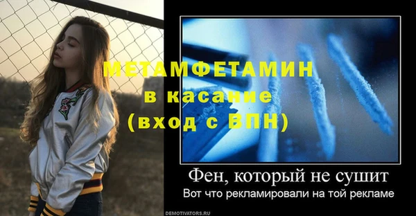 стафф Касимов