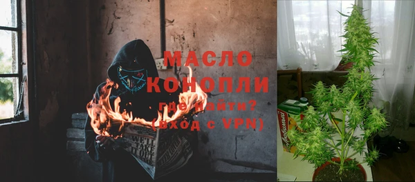стафф Касимов