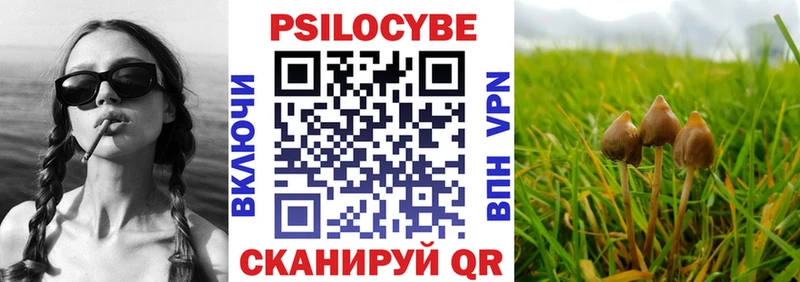 Галлюциногенные грибы Cubensis  Купить  Бирюч 